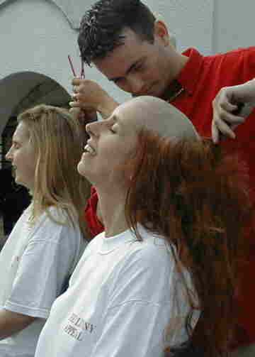 hair1.jpg (9747 bytes)