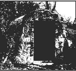 early picture of Summerfields Ice House