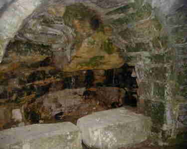 Roman bath Grotto in Summerfields woods